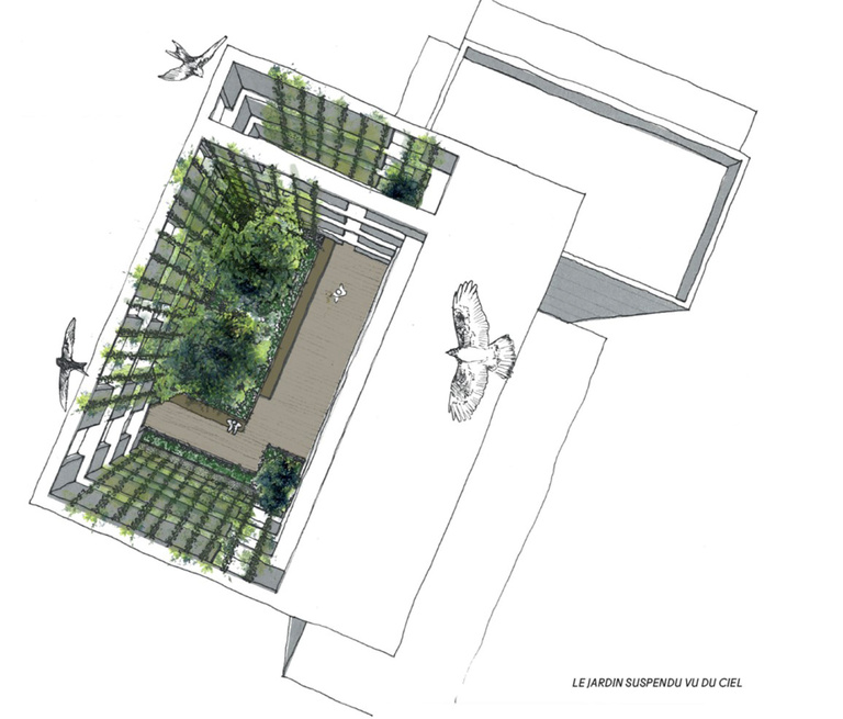 Atelier d'Urbanité - Tour 27 - axono, jardin toiture.jpg