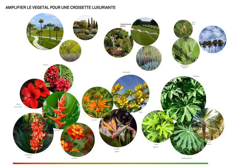 Atelier d'Urbanité - Palette végétale_VF.jpg