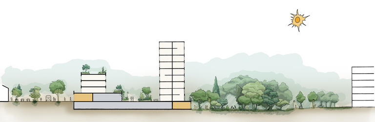 Atelier d'Urbanité - 240418_Coupe_ParcCreux_V2.jpg