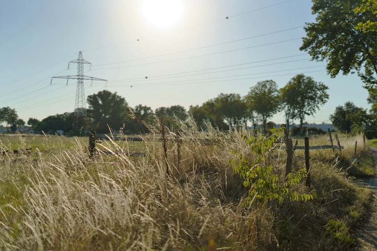Atelier d'Urbanité - _A7_4426 retouché (2).jpg